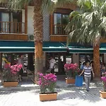 Caretta Akyaka (Mugla)